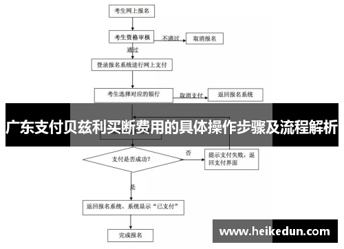广东支付贝兹利买断费用的具体操作步骤及流程解析
